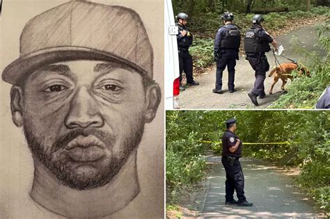 pervrt porn|Eerie police sketch shows creep who tried to rape Central Park .